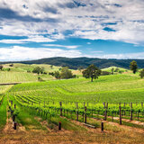 Adelaide Hills